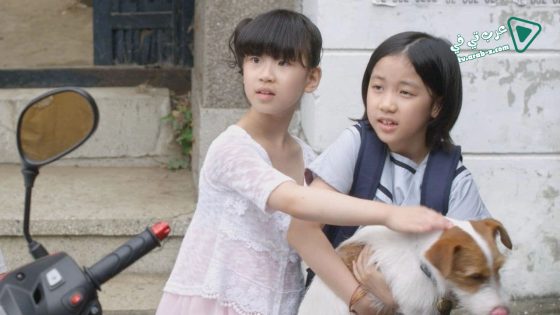 فيلم How to Steal a Dog 2014 مترجم