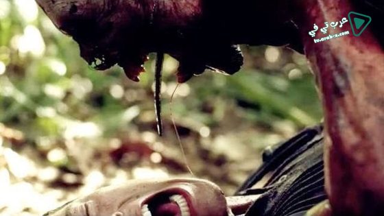 فيلم Indigenous 2014 مترجم