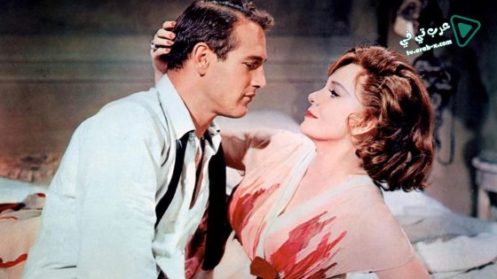 فيلم Sweet Bird Of Youth 1962 مترجم