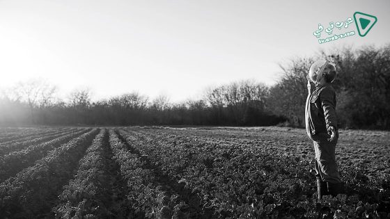 فيلم The Dog Who Wouldn’t Be Quiet 2021 مترجم