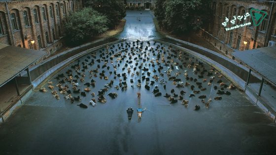 فيلم White God 2014 مترجم